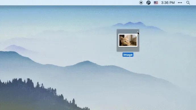 推荐6 个小众软件，知道的人真是太少了