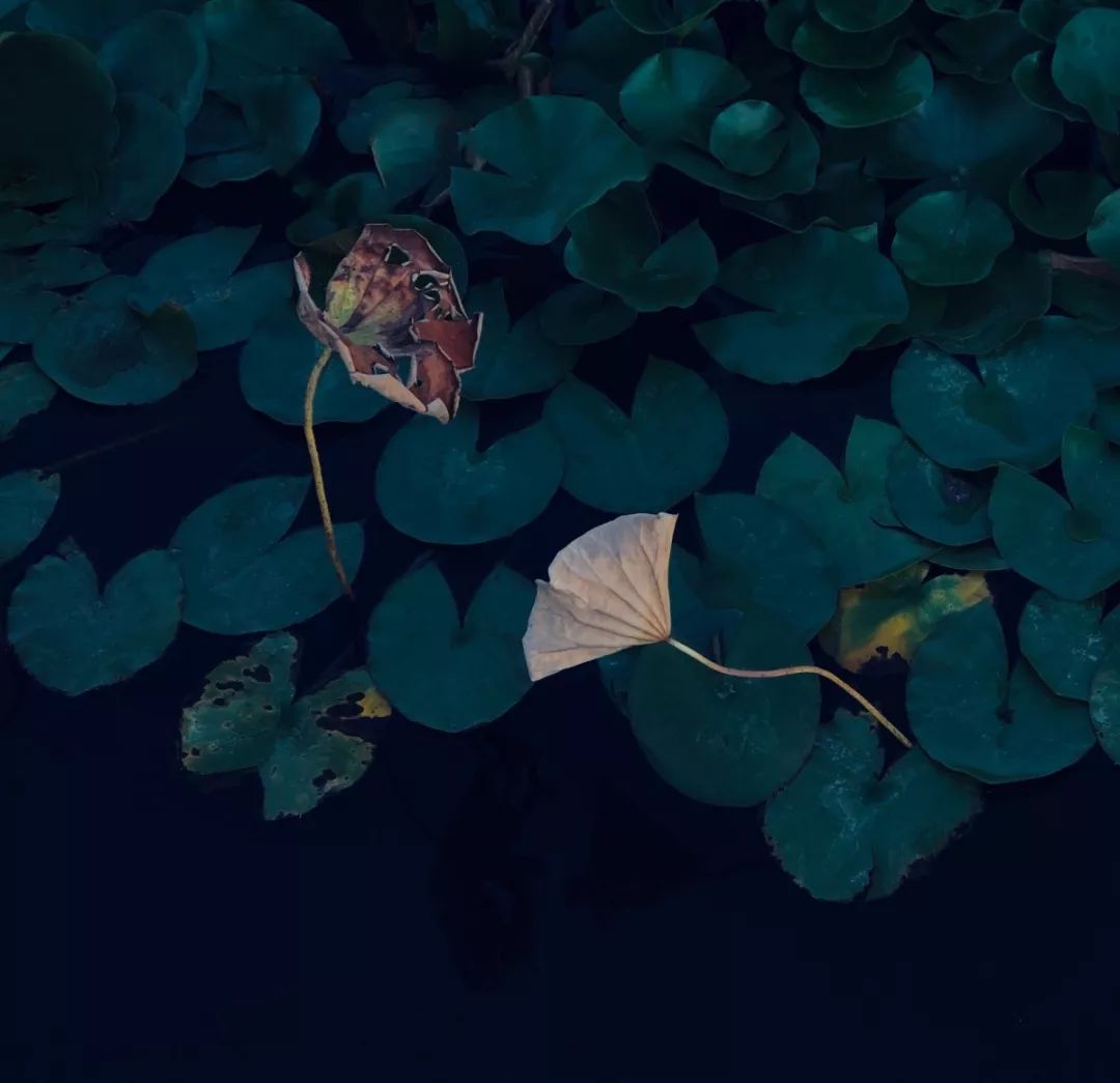 拍照加点“戏”，马上碾压朋友圈！