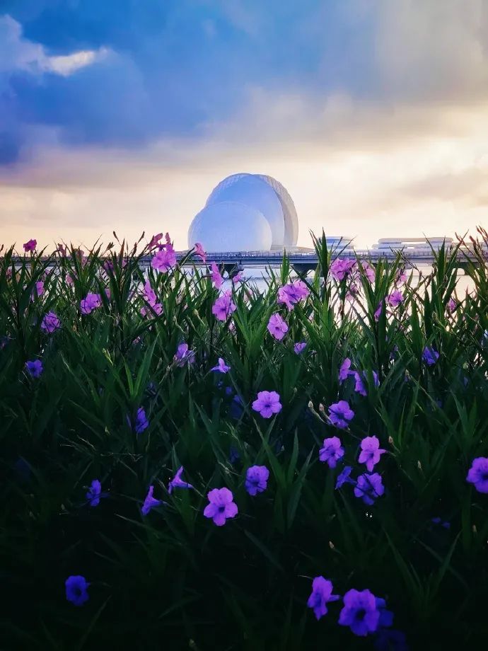 他只拍一片海，竟能拍得这么美！