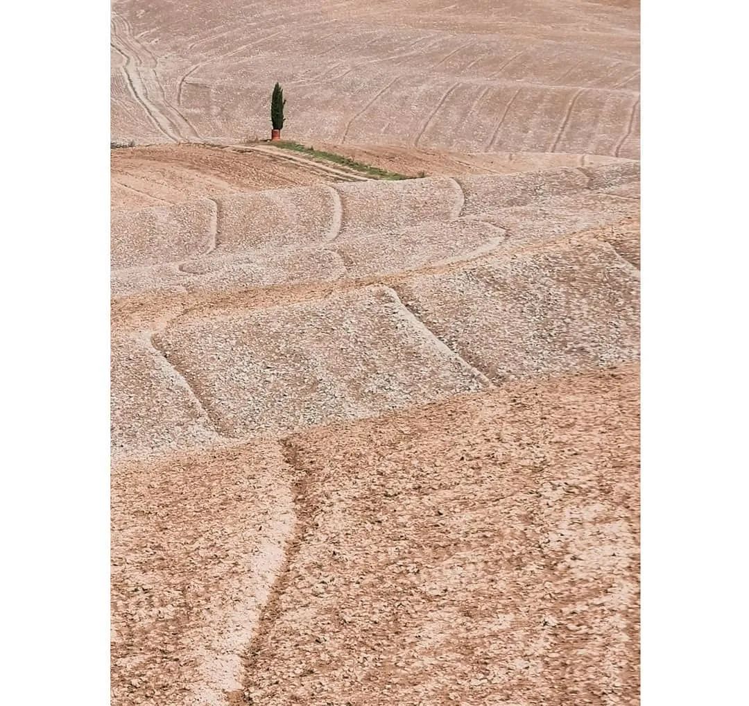 极简照这样拍，简直太太太高级好看了！
