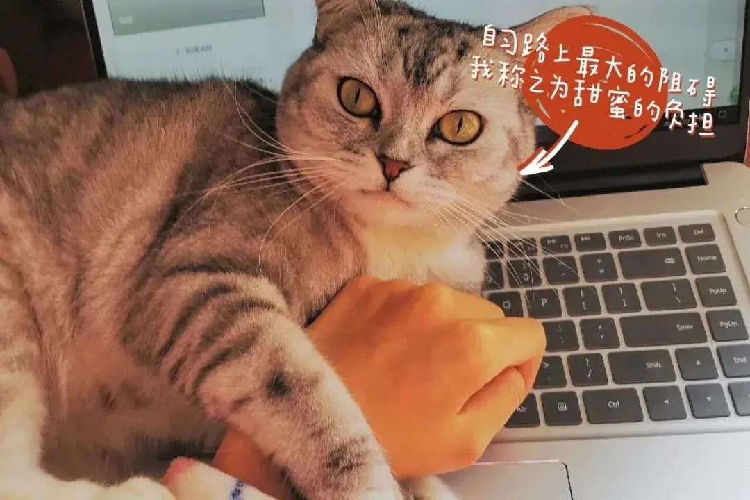 朋友圈晒图新玩法！最好用的都在这！