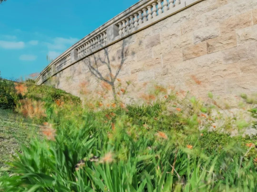 华为丝绢流水功能，你想不到的多种玩法！