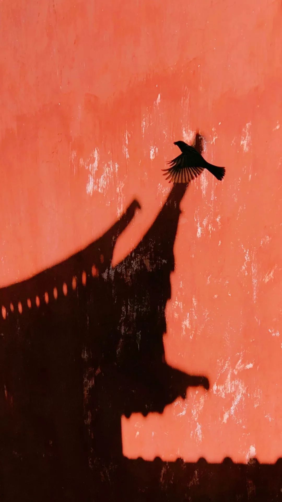 拍照加点“戏”，马上碾压朋友圈！