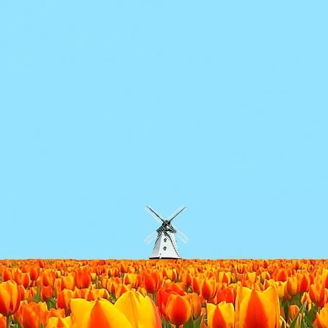 用对这5招配色“套路”，你的照片好看n倍！