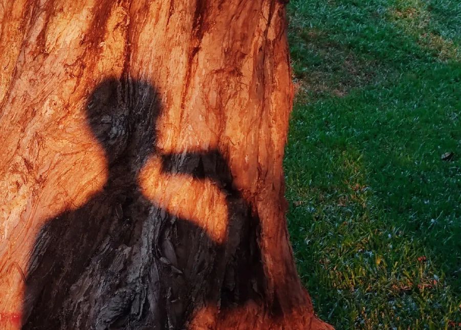 他只拍一片海，竟能拍得这么美！