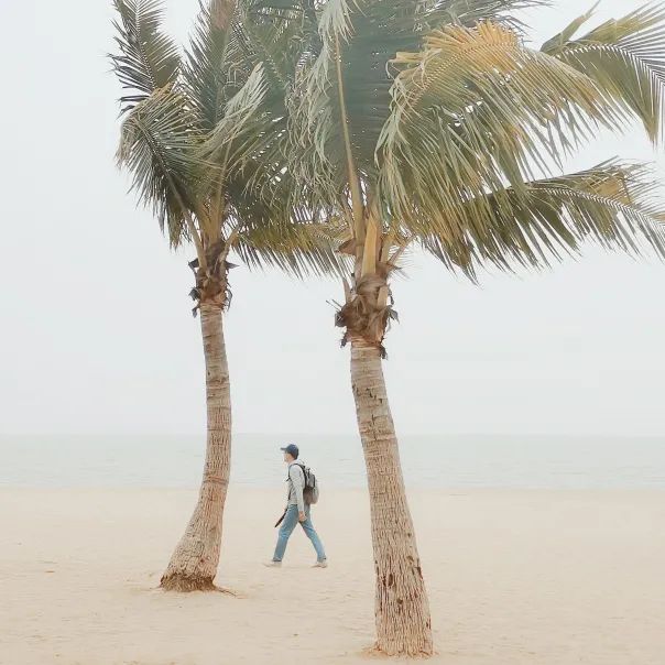 他只拍一片海，竟能拍得这么美！