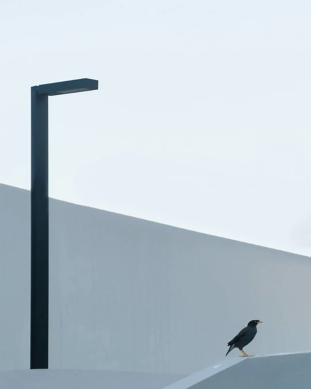 极简照这样拍，简直太太太高级好看了！