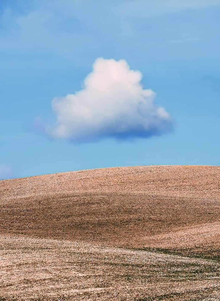 极简照这样拍，简直太太太高级好看了！