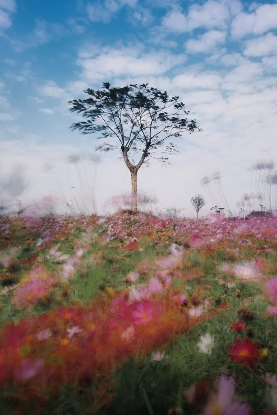 他只拍一片海，竟能拍得这么美！