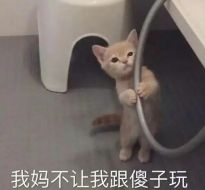 快跑！这种全是「诈骗」剧！