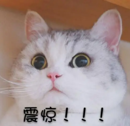 影视圈倒退20年？那可太棒了！