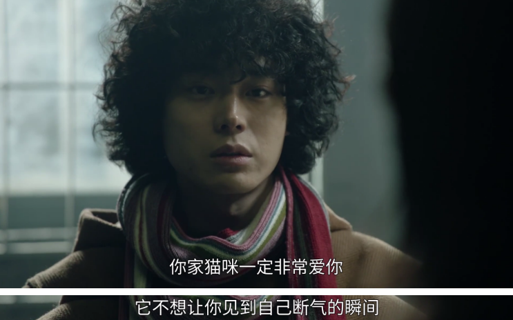 一集冲上8.7！最强嘴炮「狂怼」柯南！