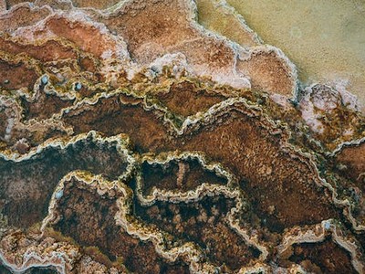 海底两万里中科学知识有哪些，海底两万里中的-我的网站