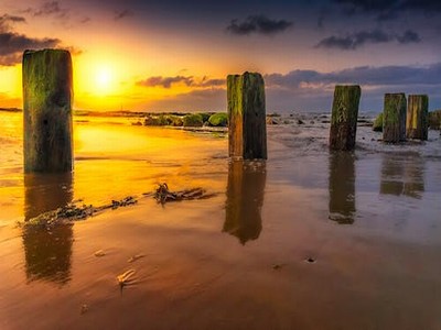 flash动画基础知识(flash动画基础教程)-我的网站