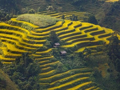 眼健康知识科普 眼健康知识科普文章-我的网站