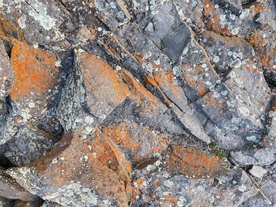 库洛米是哪部动漫 库洛米是哪部动漫里的人物-我的网站