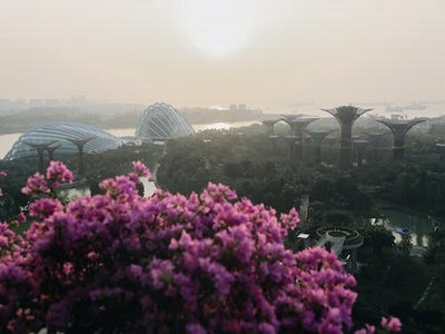 ps怎样制作动画 ps怎样制作动画效果-我的网站