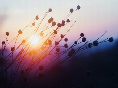 maid动漫(动漫mad2012年)-我的网站