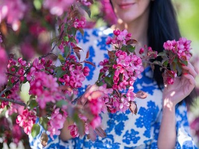 动漫节是几月几日,动漫节是几月几日开始-我的网站