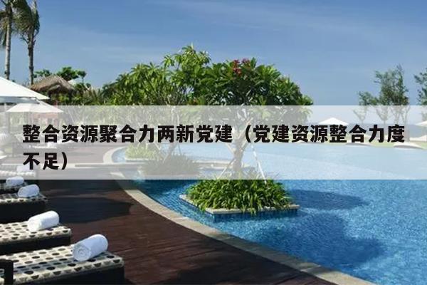 整合资源聚合力两新党建（党建资源整合力度不足）