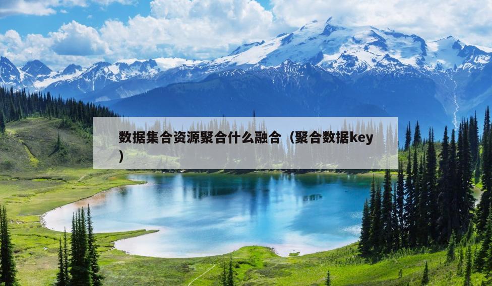 数据集合资源聚合什么融合（聚合数据key）