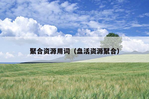 聚合资源用词(盘活资源聚合) 聚合资源用词(盘活资源聚合)