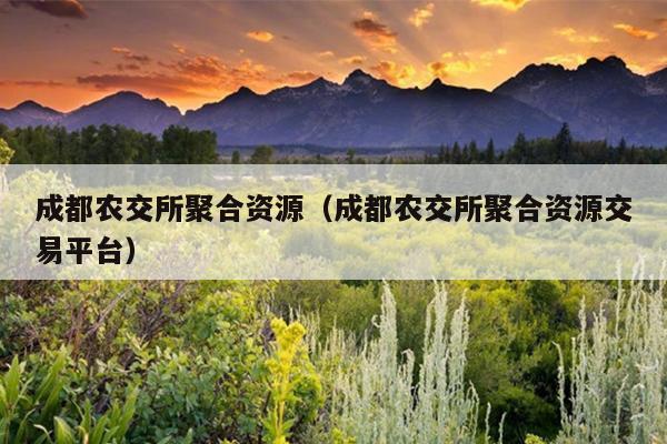 成都农交所聚合资源(成都农交所聚合资源交易平台) 成都农交所聚合资源(成都农交所聚合资源交易平台)