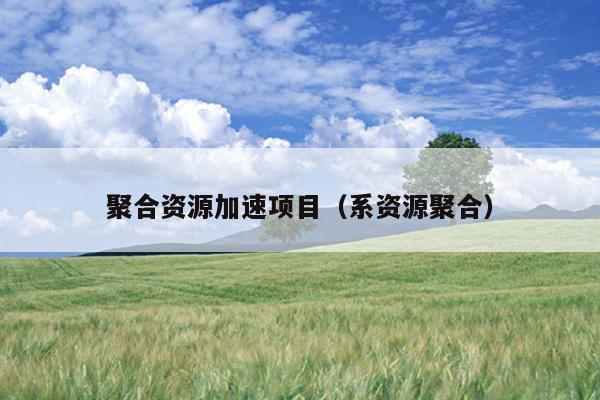 聚合资源加速项目(系资源聚合) 聚合资源加速项目(系资源聚合)