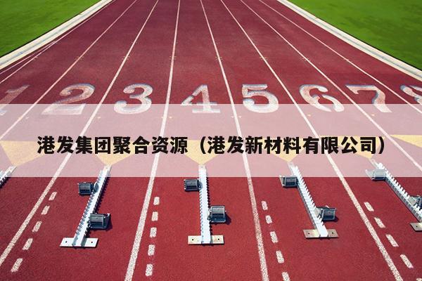 港发集团聚合资源（港发新材料有限公司）