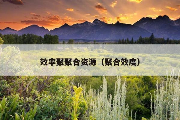 效率聚聚合资源（聚合效度）