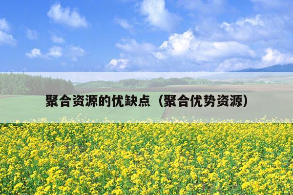 聚合资源的优缺点(聚合优势资源) 聚合资源的优缺点(聚合优势资源)
