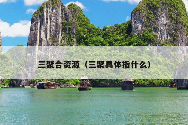 三聚合资源(三聚具体指什么) 三聚合资源(三聚具体指什么)