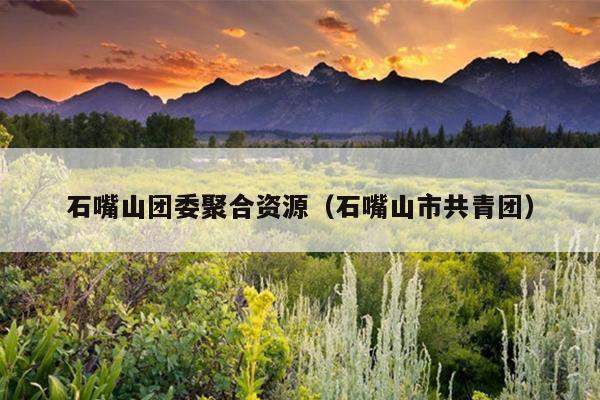 石嘴山团委聚合资源（石嘴山市共青团）