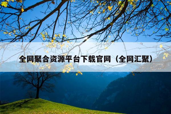 全网聚合资源平台下载官网（全网汇聚）
