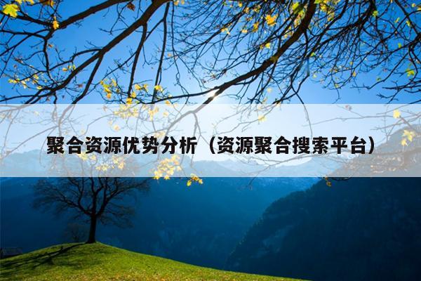 聚合资源优势分析(资源聚合搜索平台) 聚合资源优势分析(资源聚合搜索平台)