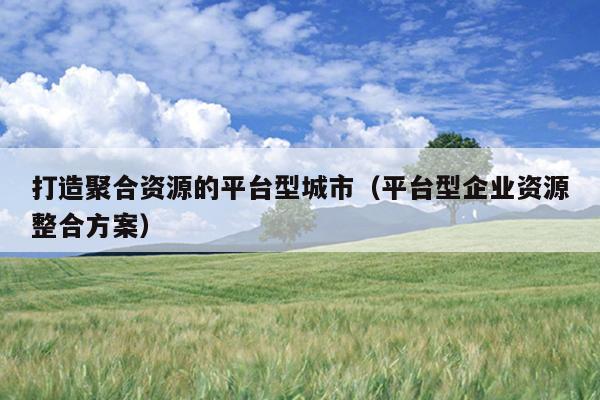 打造聚合资源的平台型城市(平台型企业资源整合方案) 打造聚合资源的平台型城市(平台型企业资源整合方案)