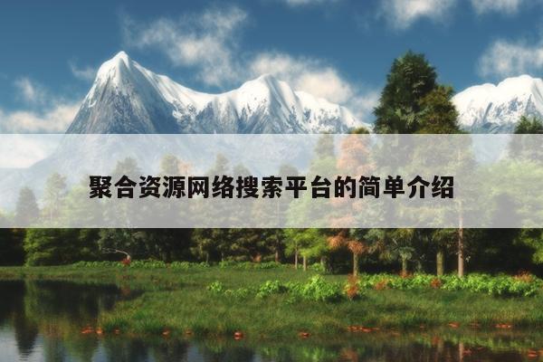 聚合资源网络搜索平台的简单介绍