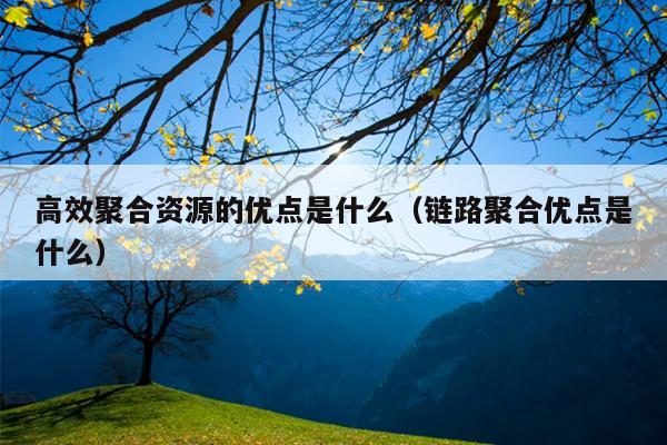 高效聚合资源的优点是什么(链路聚合优点是什么) 高效聚合资源的优点是什么(链路聚合优点是什么)