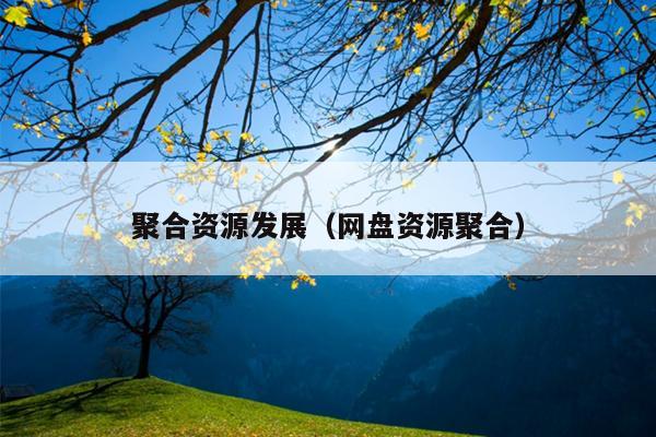 聚合资源发展(网盘资源聚合) 聚合资源发展(网盘资源聚合)