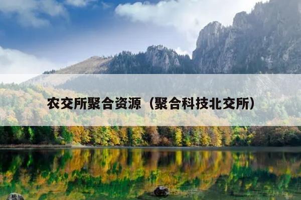 农交所聚合资源(聚合科技北交所) 农交所聚合资源(聚合科技北交所)