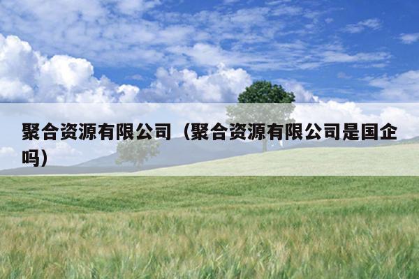聚合资源有限公司(聚合资源有限公司是国企吗) 聚合资源有限公司(聚合资源有限公司是国企吗)