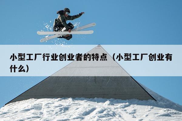小型工厂行业创业者的特点（小型工厂创业有什么）