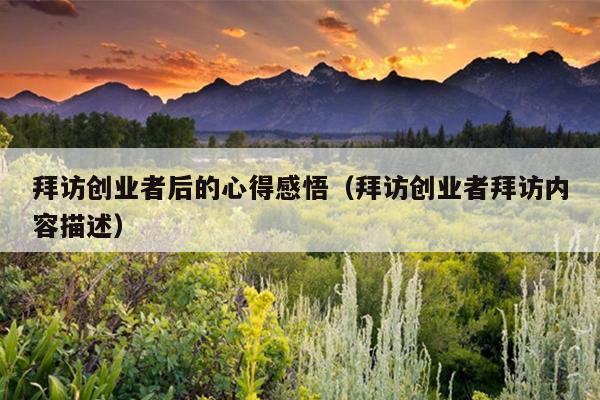 拜访创业者后的心得感悟(拜访创业者拜访内容描述) 拜访创业者后的心得感悟(拜访创业者拜访内容描述)