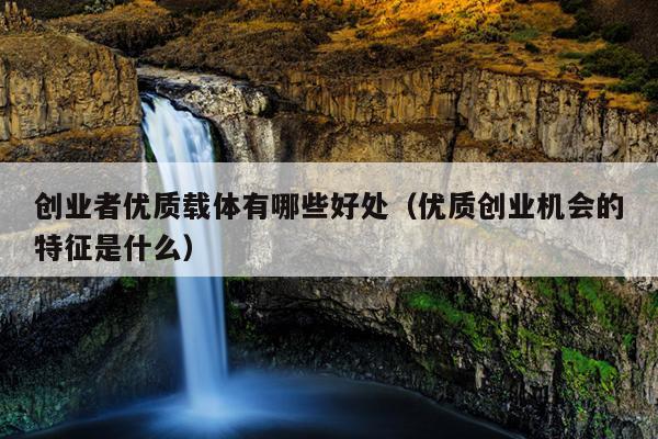 创业者优质载体有哪些好处(优质创业机会的特征是什么) 创业者优质载体有哪些好处(优质创业机会的特征是什么)