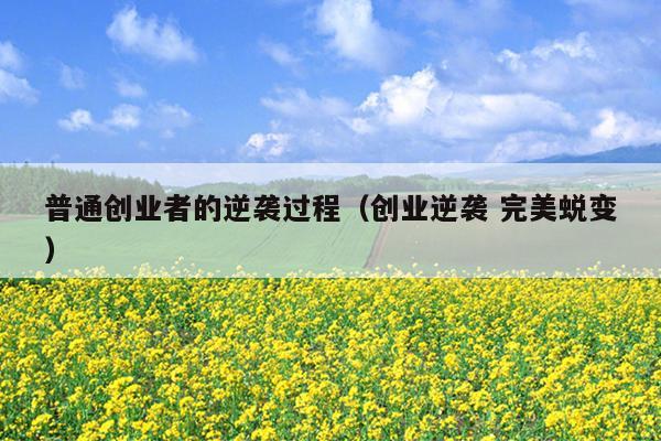 普通创业者的逆袭过程(创业逆袭 完美蜕变) 普通创业者的逆袭过程(创业逆袭 完美蜕变)