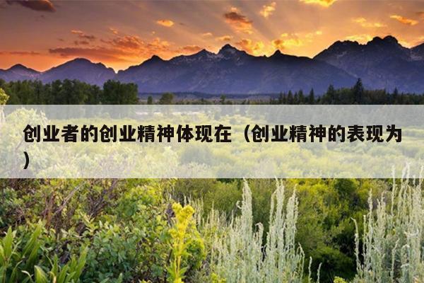 创业者的创业精神体现在（创业精神的表现为）