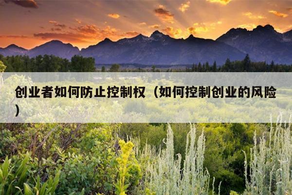 创业者如何防止控制权(如何控制创业的风险) 创业者如何防止控制权(如何控制创业的风险)