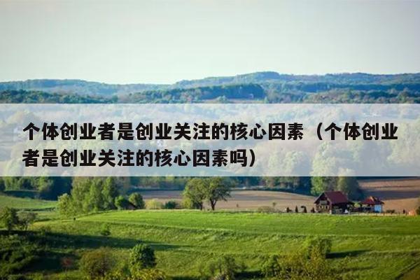 个体创业者是创业关注的核心因素(个体创业者是创业关注的核心因素吗) 个体创业者是创业关注的核心因素(个体创业者是创业关注的核心因素吗)