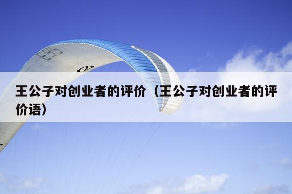 王公子对创业者的评价(王公子对创业者的评价语) 王公子对创业者的评价(王公子对创业者的评价语)
