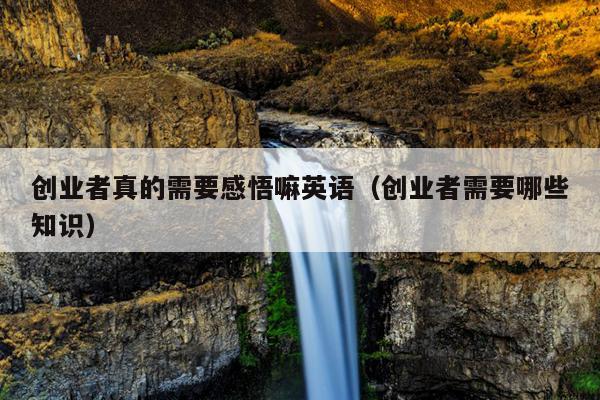 创业者真的需要感悟嘛英语（创业者需要哪些知识）